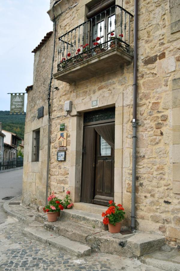 Pinares De Soria